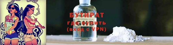 гидра Ельня