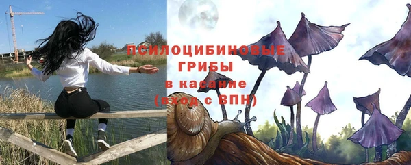 MESCALINE Новодвинск